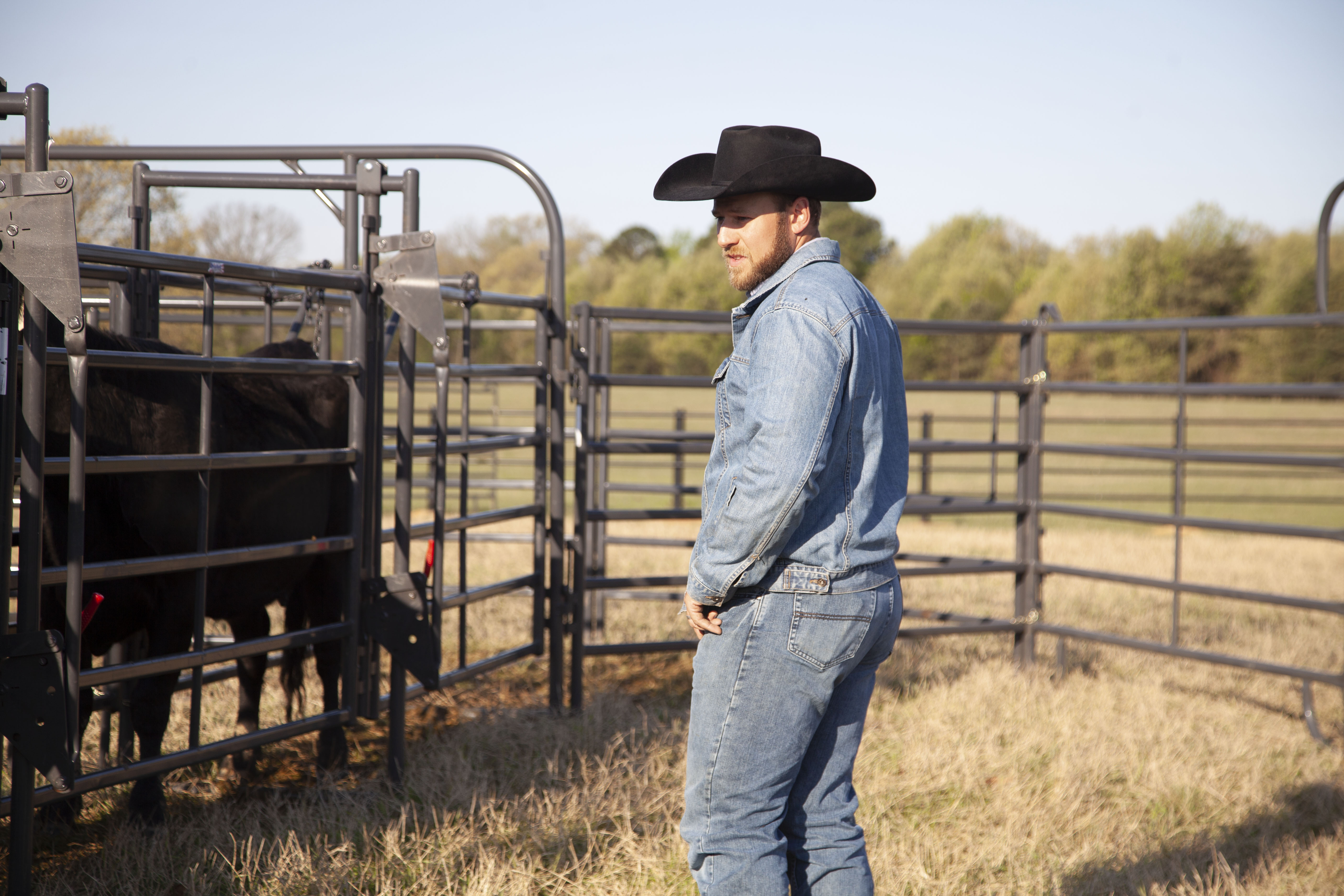 Premier System Adjustable Alley 36.jpg